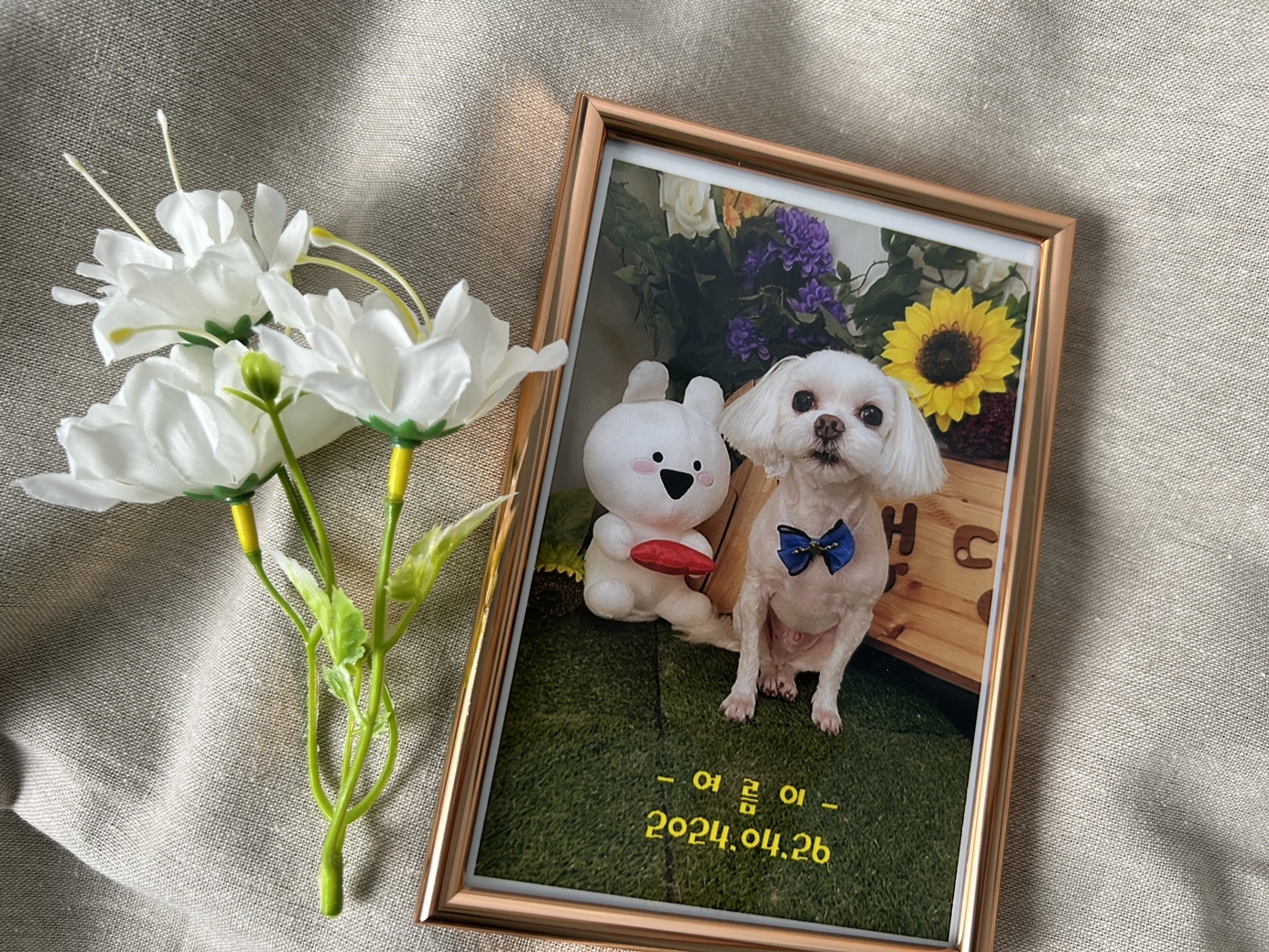 KakaoTalk_20240911_162442078_02.jpg