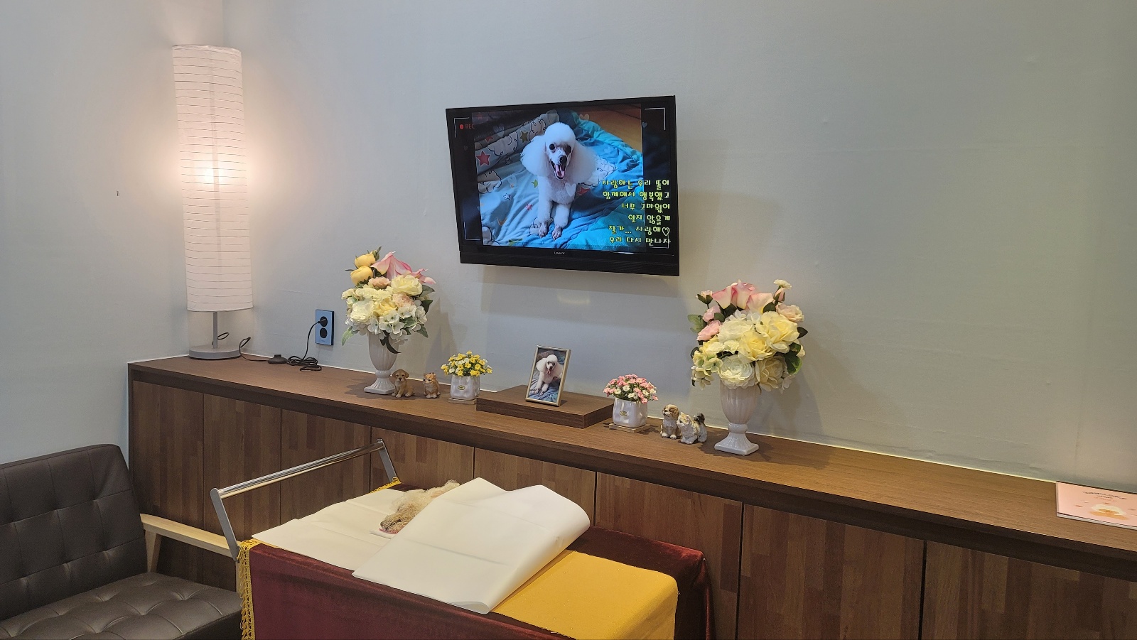 24시 강아지 장례식장 새벽에도 애견화장이 가능한 곳은?